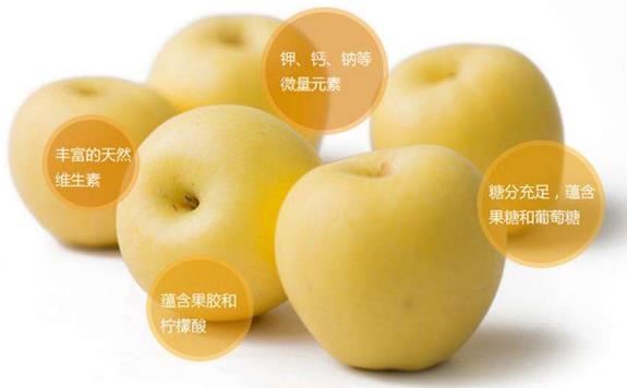 黄香蕉苹果什么时候成熟 黄元帅苹果成熟季节