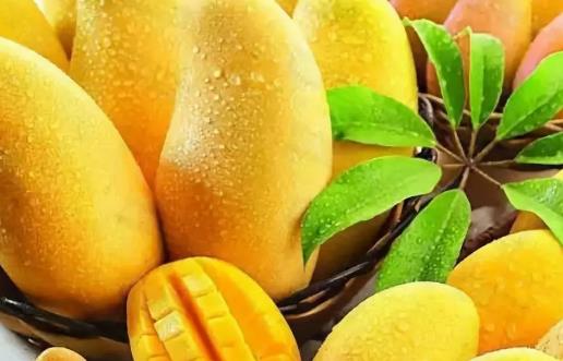 吃芒果过敏怎么办？芒果过敏的原因和症状及解决方法