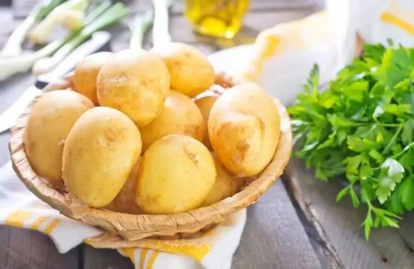 土豆的营养价值及功效与作用 土豆家常做法大全及吃土豆注意事项