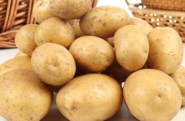 土豆的营养价值及功效与作用 土豆家常做法 土豆发芽变绿能吃吗